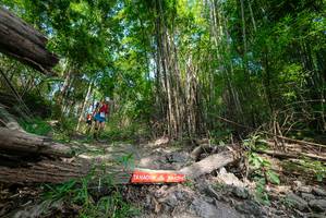 BIB: 
                            <button type="button" onclick="openModal(19390081)" class="btn btn-primary btn-sm float-right btn-popup" data-toggle="modal" data-target=".modal-high-quality">
                        <i class="fas fa-shopping-cart"></i> Add to Cart
                    </button>
                                            <button type="button" onclick="isThisMe(19390081, true)" class="btn btn-success btn-sm float-right btn-popup btn-isme hidden" data-toggle="tooltip" data-placement="bottom" title="นี่คือรูปของคุณใช่ไหม คลิกที่นี่เพื่อเอาเข้าอัลบั้ม">
                        <i class="fas fa-plus"></i> Add to album
                    </button>
                    <button type="button" onclick="isThisMe(19390081, false)" class="btn btn-warning btn-sm float-right btn-popup btn-isnotme hidden">
                        <i class="fas fa-ban"></i> Remove from album
                    </button>